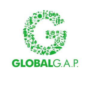Global Gap
