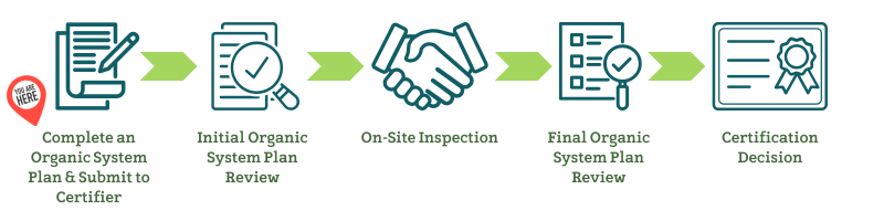 5 steps to certification