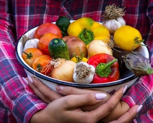 Farmer woman holding fresh vegetables from the farm. carrots, cucumbers, radishes, corn, garlic