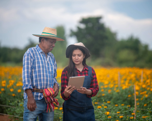 fraud prevention plan