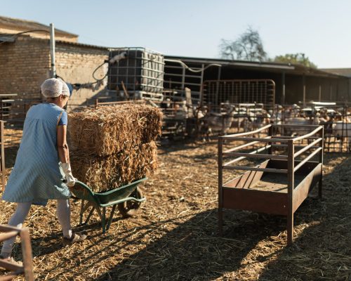 EU Organic Regulations