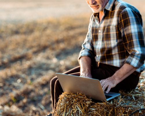 Download Certificate