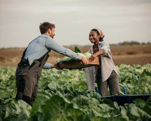 International Trade Partners