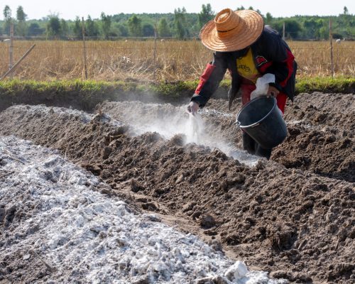 Transitioning to Organic Production