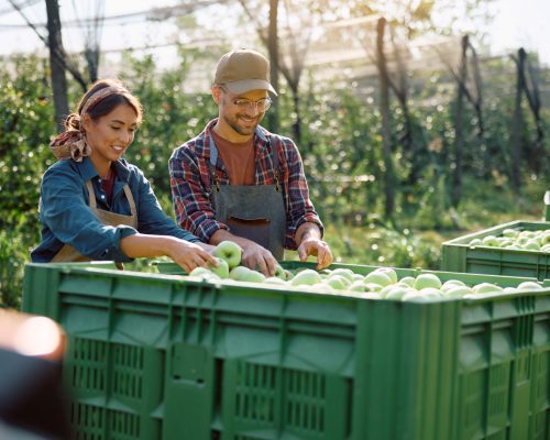 International Trade Partners