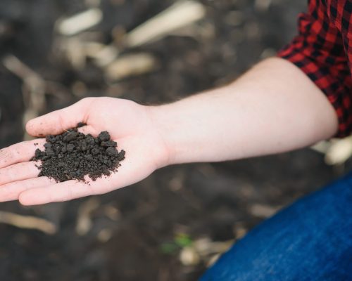 Soil in farmer arms. image with selective focus